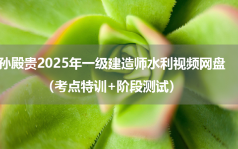 孙殿贵2025年一级建造师水利视频网盘（考点特训+阶段测试）