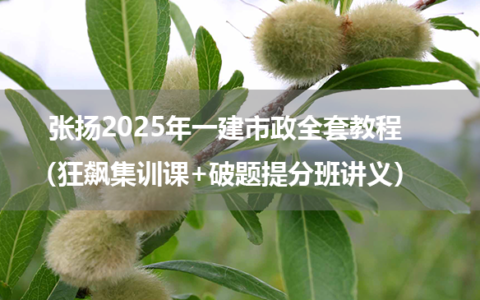 张扬2025年一建市政全套教程（狂飙集训课+破题提分班讲义）