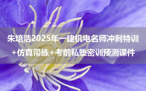 朱培浩2025年一建机电名师冲刺特训+仿真带练+考前私塾密训预测课件