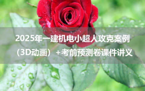 2025年一建机电小超人攻克案例（3D动画）+考前预测卷课件讲义