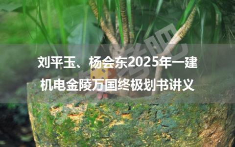 刘平玉、杨会东2025年一建机电金陵万国终极划书讲义