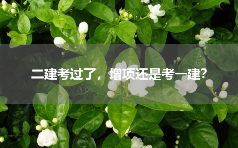 二建考过了，增项还是考一建？