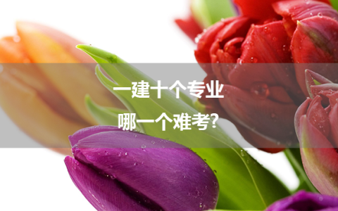 一建十个专业,哪一个难考?