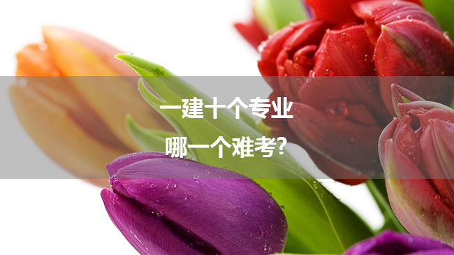 一建十个专业,哪一个难考?
