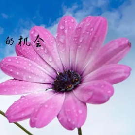 晨光0520的头像