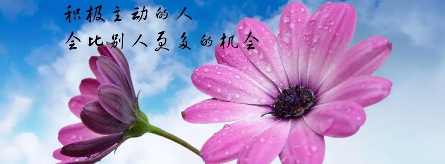 晨光0520
